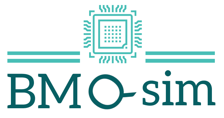 bmqsim